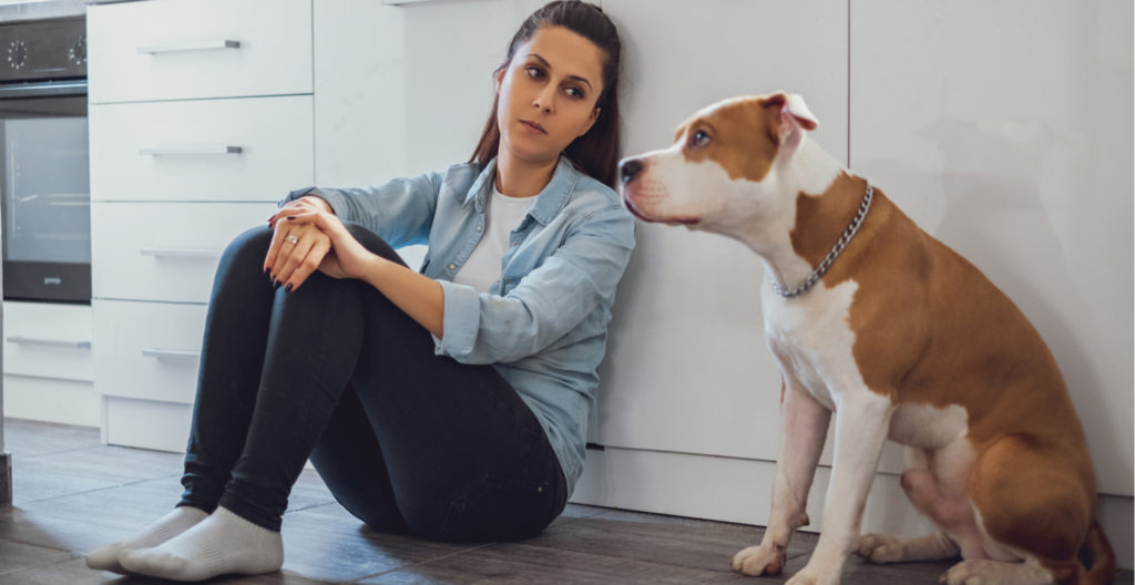 dog-with-bad-behavior