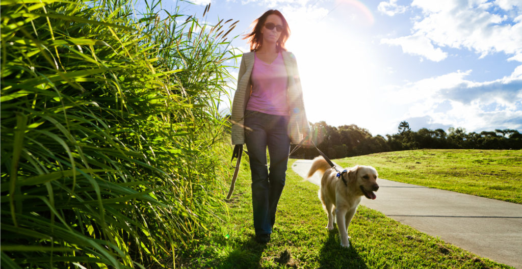 routinely-training-the-dog walking dog woman