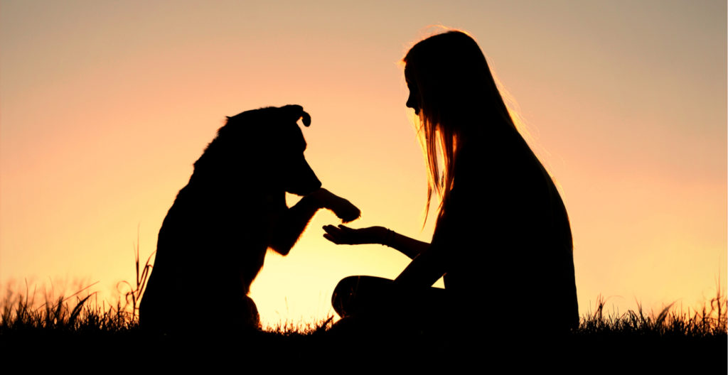 setting-realistic-expectations-with-dog