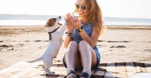 JACK-RUSSELL-AT-THE-BEACH