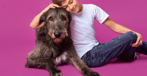 irish-wolfhound-personality