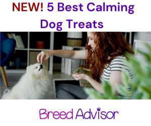 best calming treats