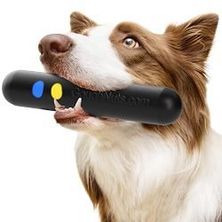 best-dog-toys-for-aggressive-chewers GoughNuts Stick Dog Toy